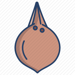 <em>椰子</em>