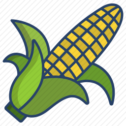 <em>玉米</em>