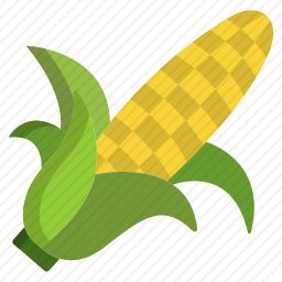<em>玉米</em>
