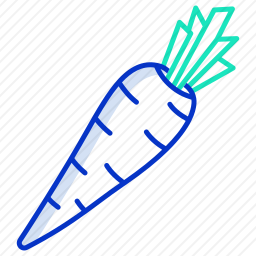 <em>胡萝卜</em>