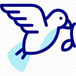 鸽子