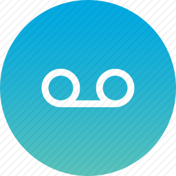 <em>录音</em>