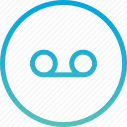 <em>录音</em>