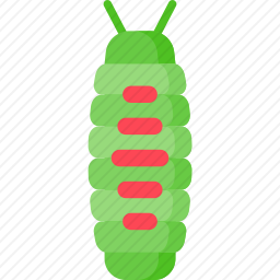 毛毛虫