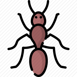 蚂蚁