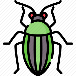 植物小虫
