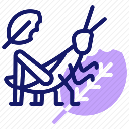 蚱蜢