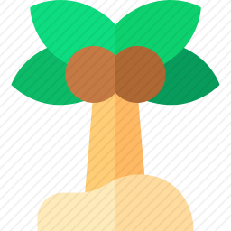 棕榈树