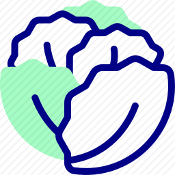 <em>卷心菜</em>