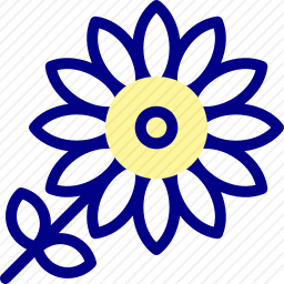 <em>向日葵</em>