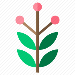植物