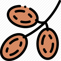 棕榈果
