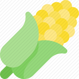 玉米