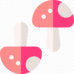 蘑菇