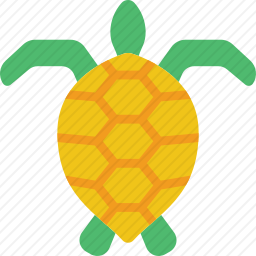 海龟