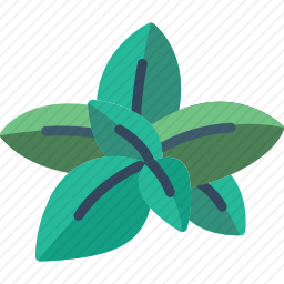 <em>牛至</em>