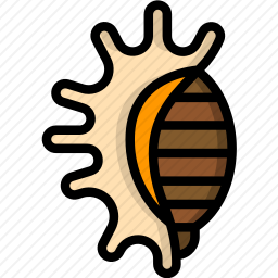<em>海螺</em>