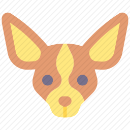 奇瓦瓦犬