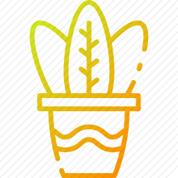 植物