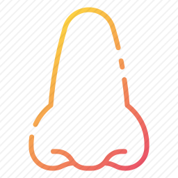 <em>鼻子</em>