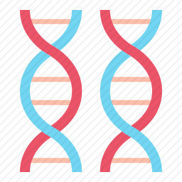 DNA