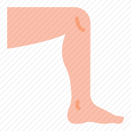 <em>腿</em>