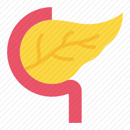胰腺