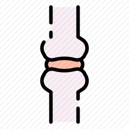 共同