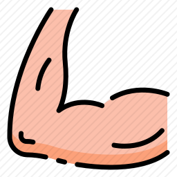 肌肉