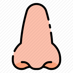 鼻子