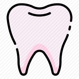 <em>牙齿</em>