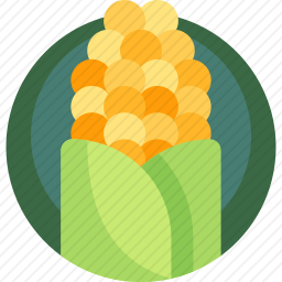 <em>玉米</em>