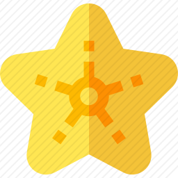 <em>海星</em>