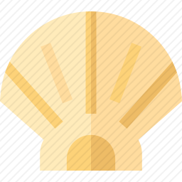 <em>贝壳</em>