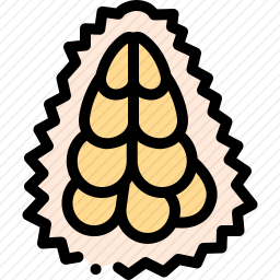 菠萝蜜