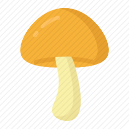 蘑菇