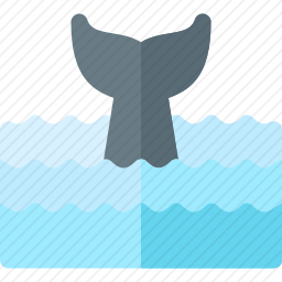 尾