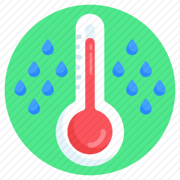 雨