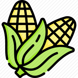 <em>玉米</em>