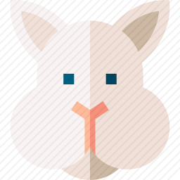 兔子