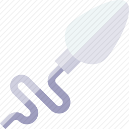 <em>精子</em>