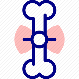 骨头