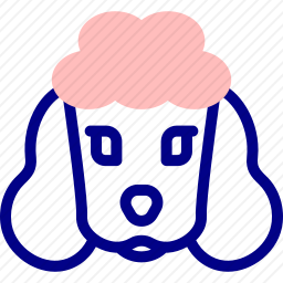 狗