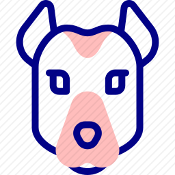 狗