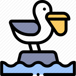 鹈鹕