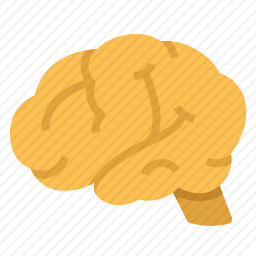 脑