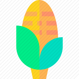 <em>玉米</em>