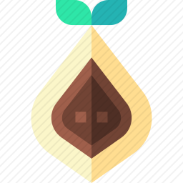 可可