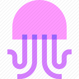 水母