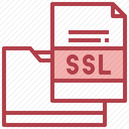<em>SSL</em>